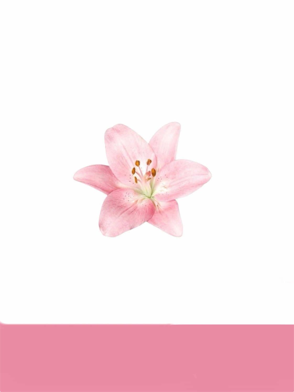 @࣪ 🧸𓂅 𝙏𝙚𝙨𝙨𝙖 . ⟢