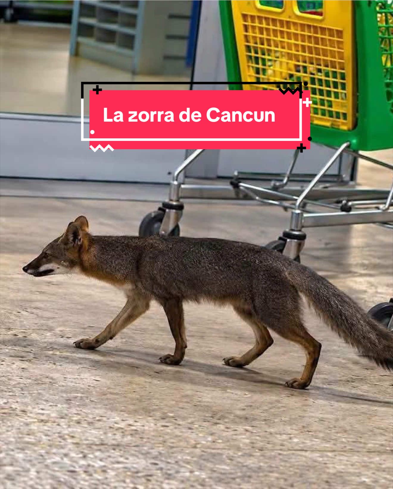 @Jorge Santana