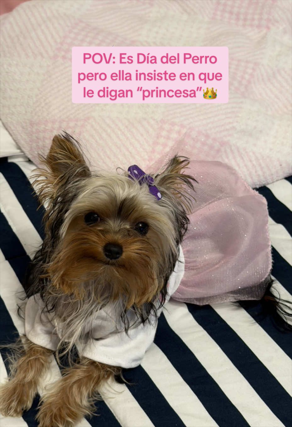 @Pam Rocha