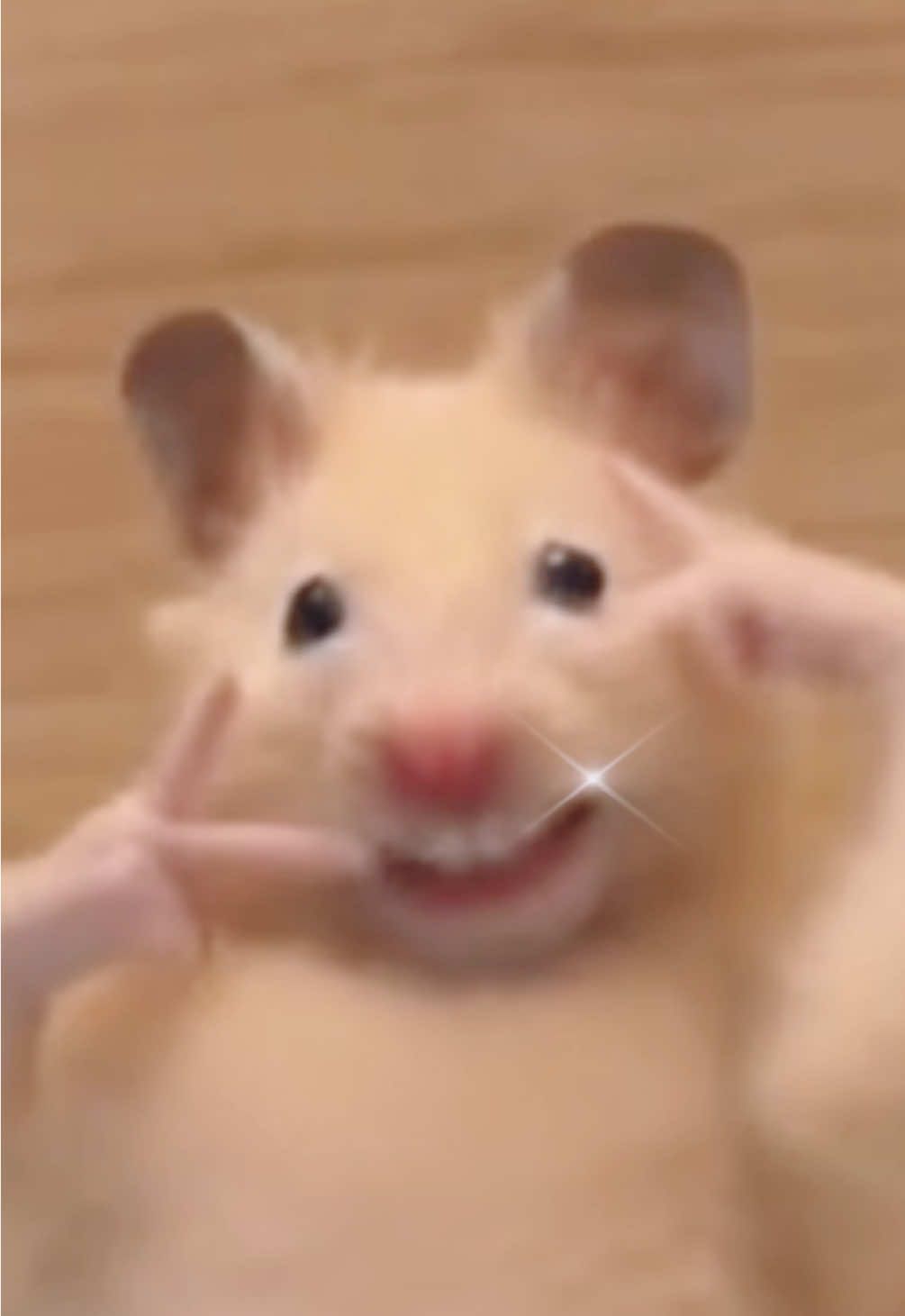 @FCham