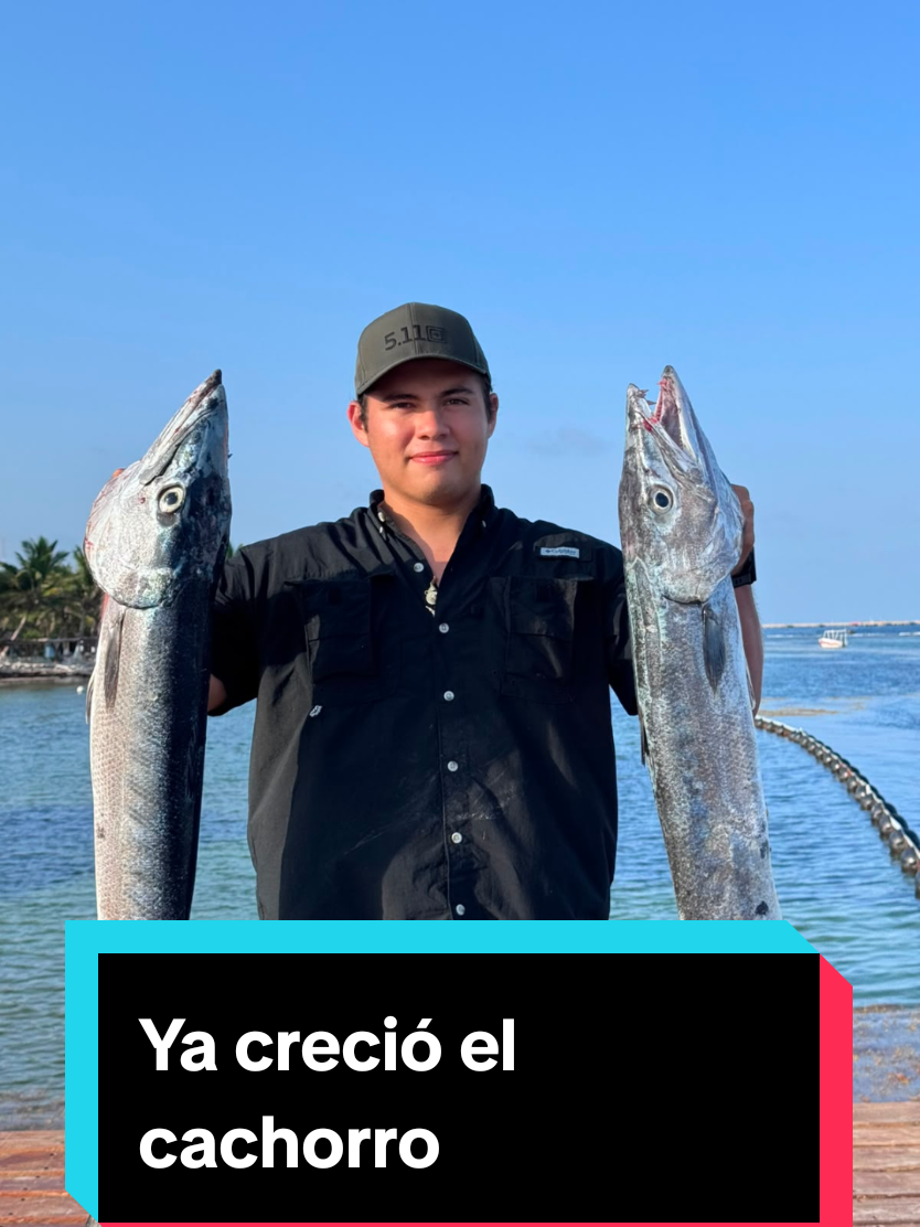 @Juan Alberto Alvarez