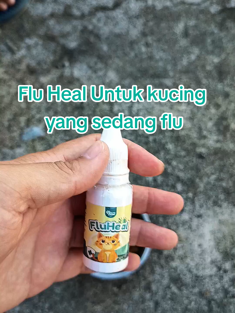 @Medayo Petcare