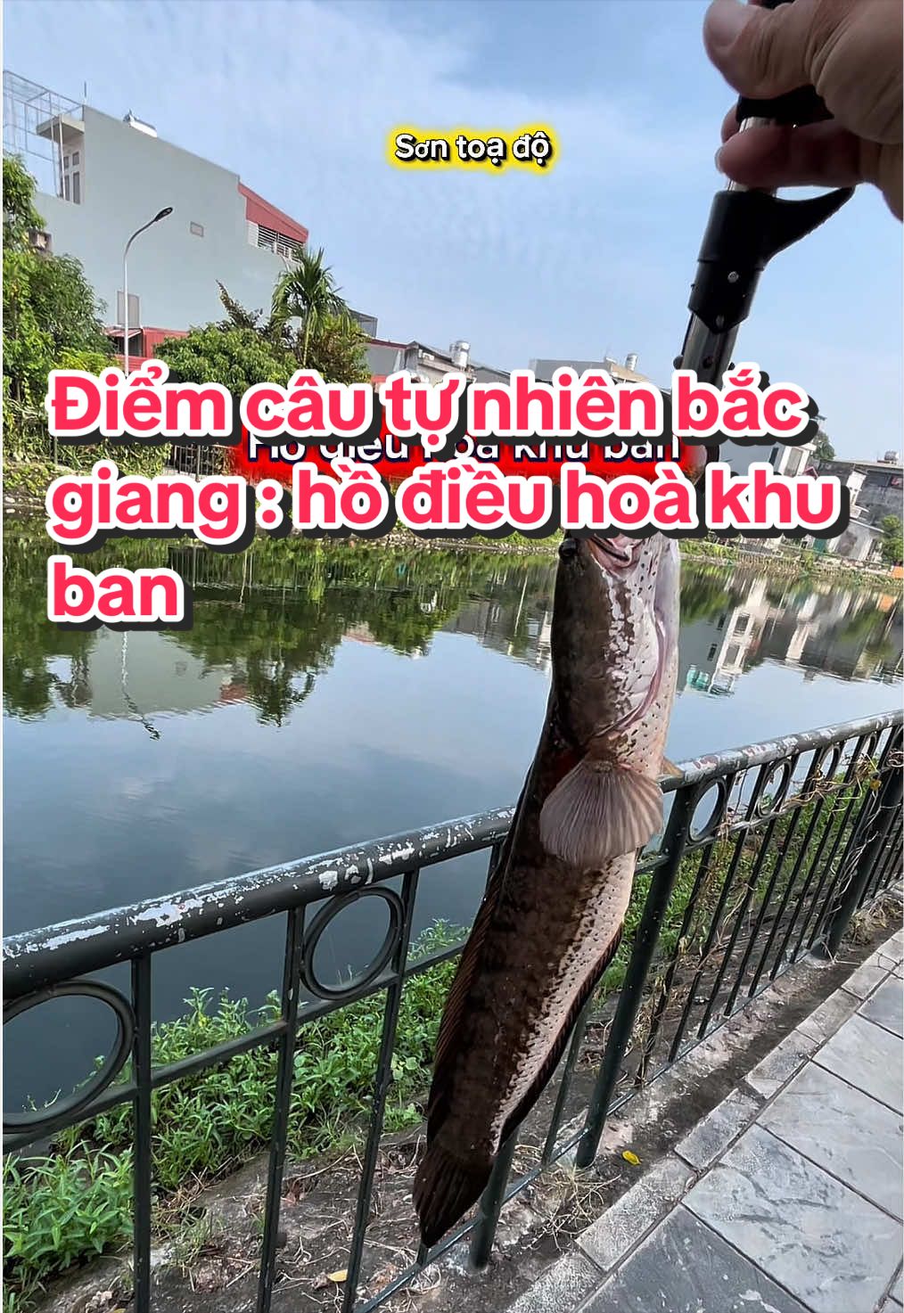 @Sơn toạ độ