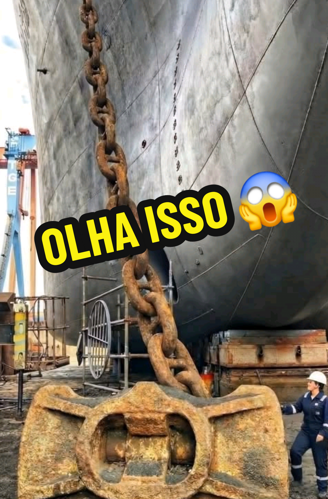 @RAIZ DO SABER