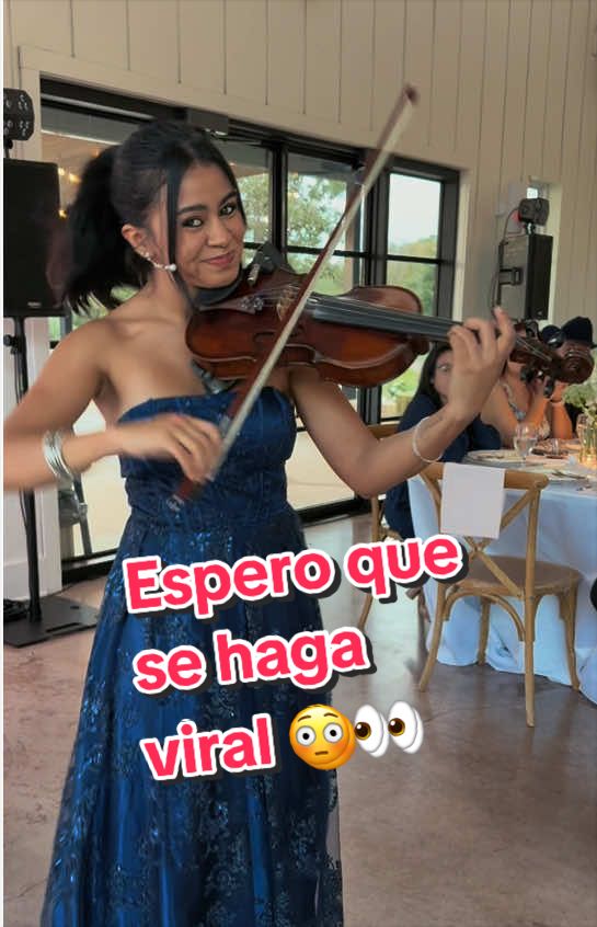 @sofialopezviolinist