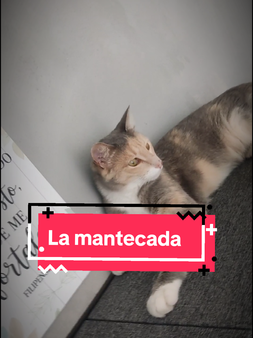 @Carlos Echeverr&iacute;a