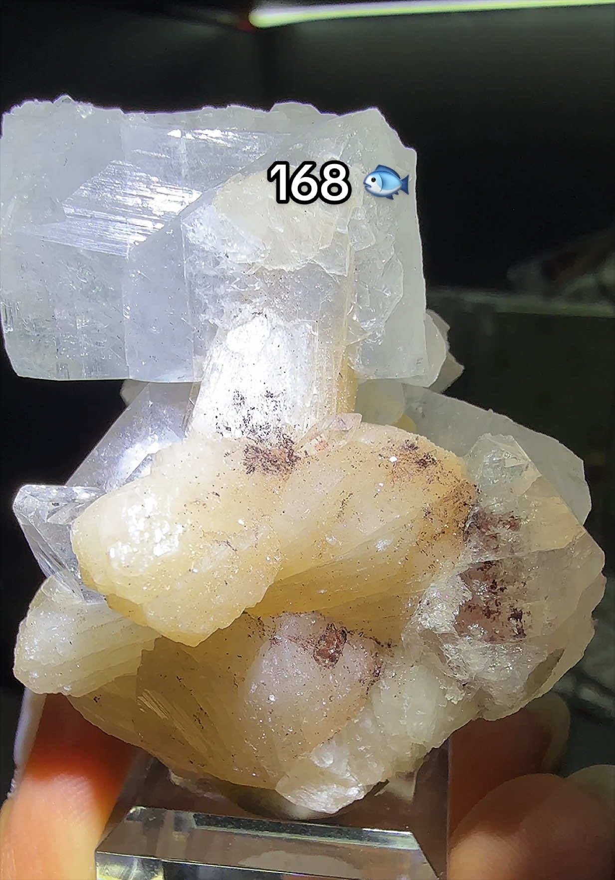 @Halen Crystal