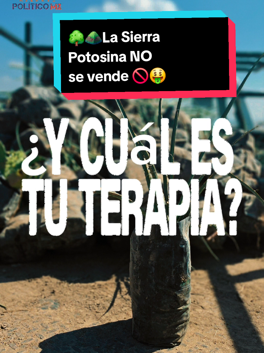@Ajedrez Político MX