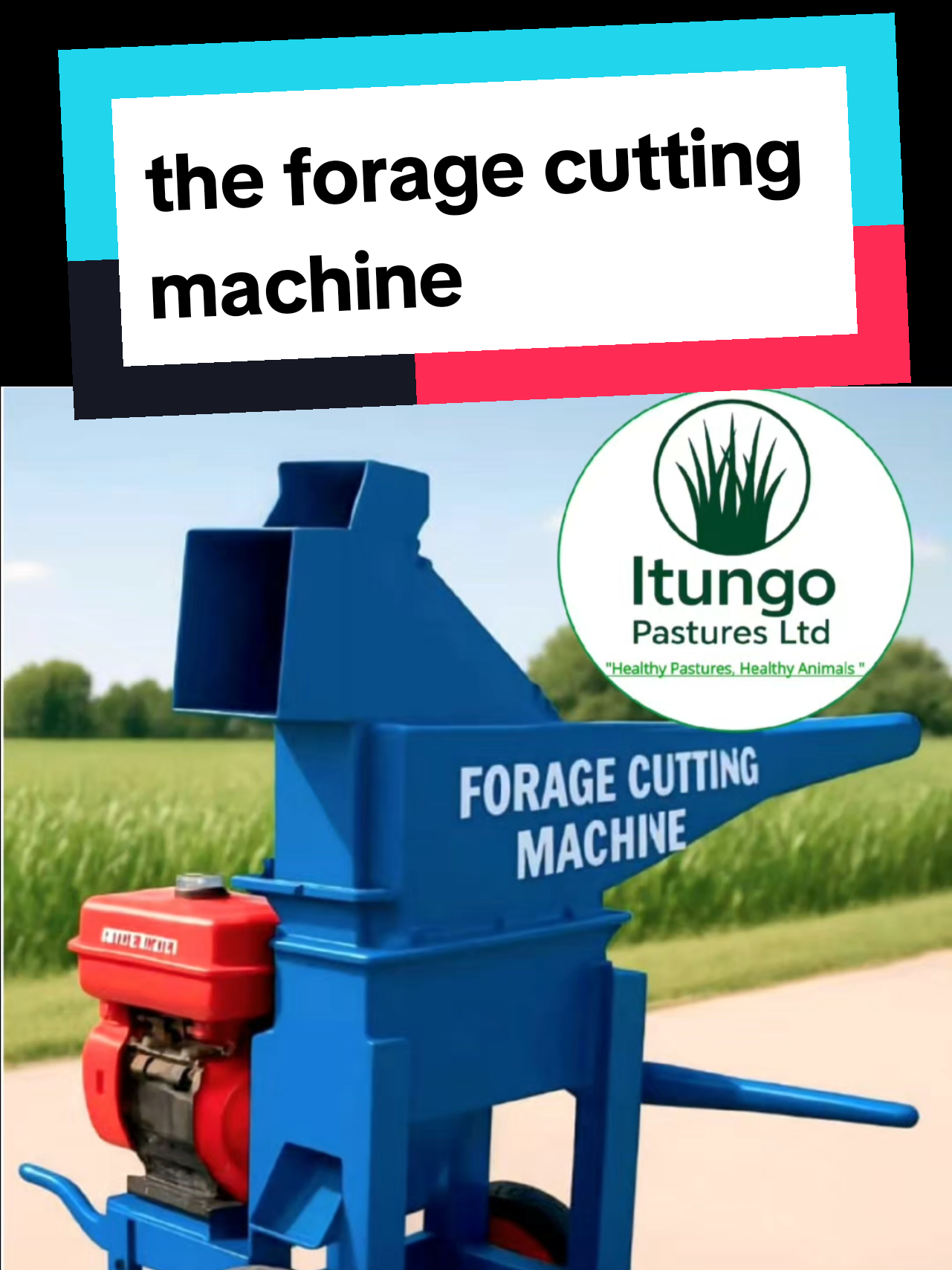 @itungo pastures