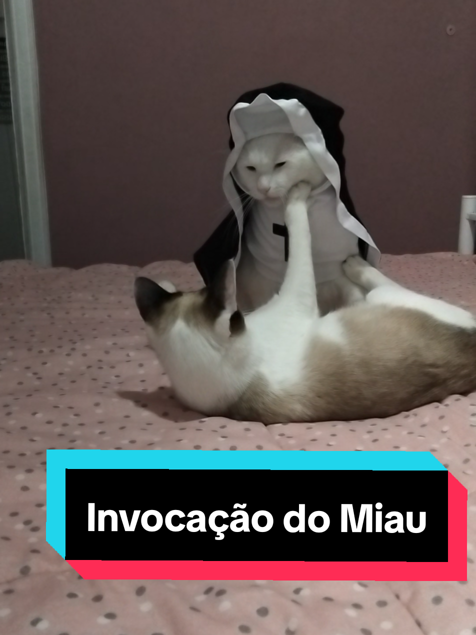 @Mary Moon