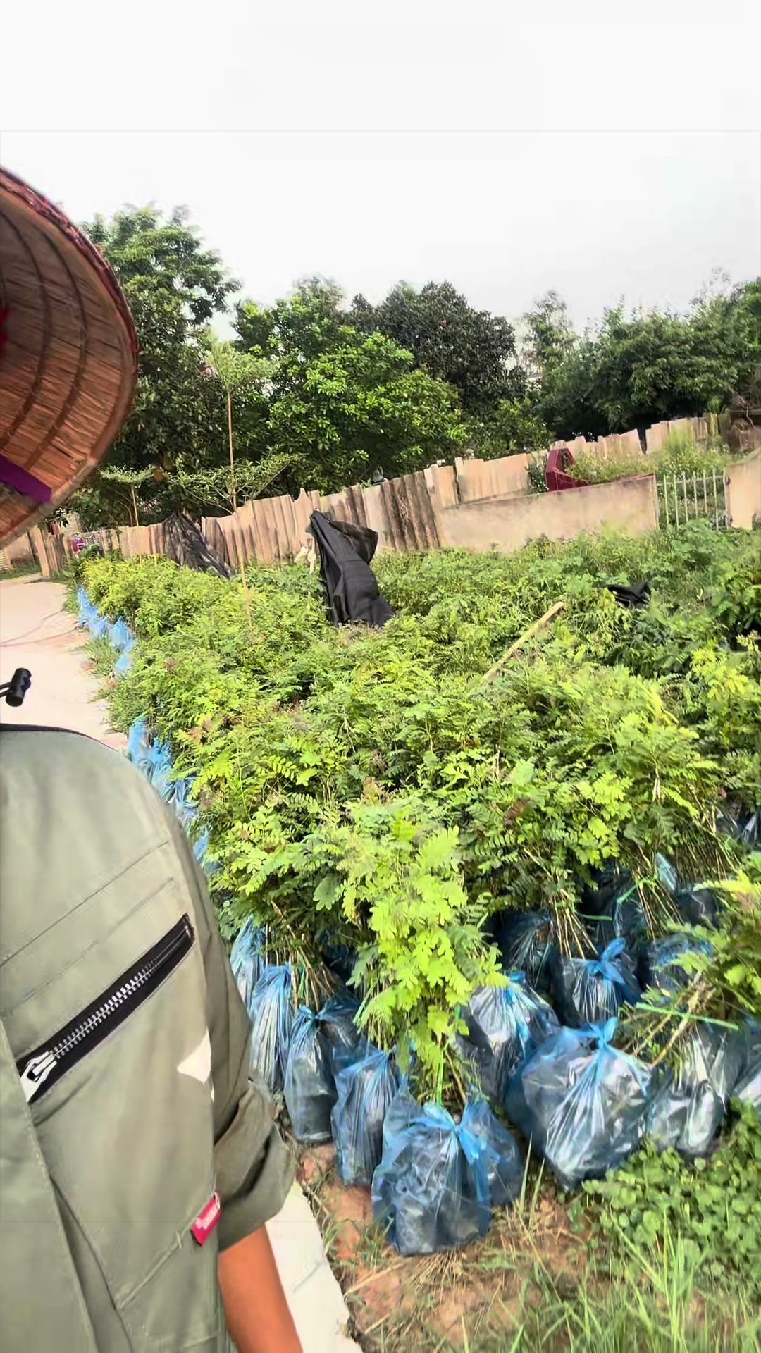 @Nh&agrave; Vườn Vũ Mai