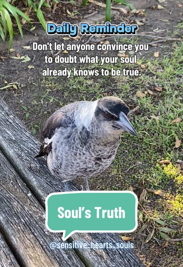 @🦋Sensitive Hearts & Souls🦋