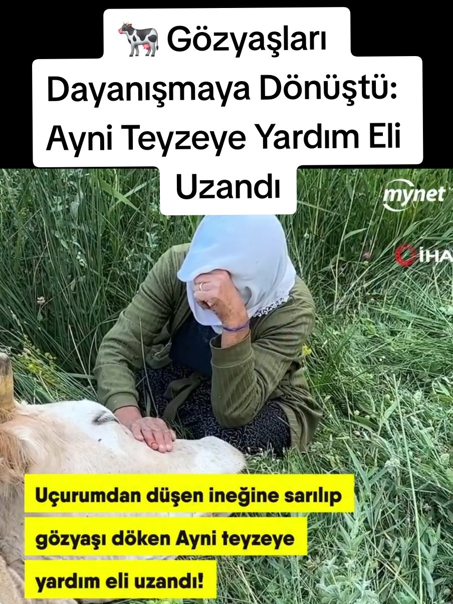 @Sorgunadair