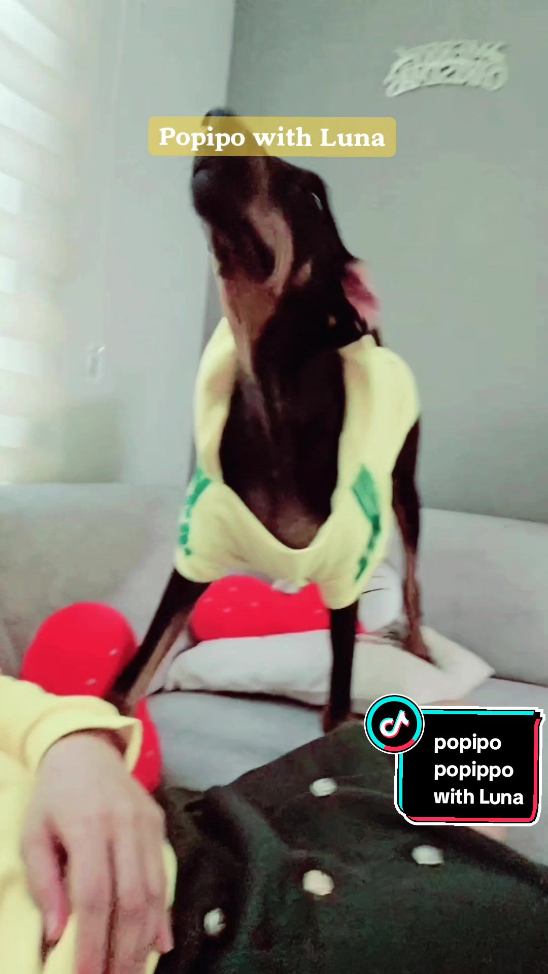 @💜🇵🇭Violet🇰🇷💜