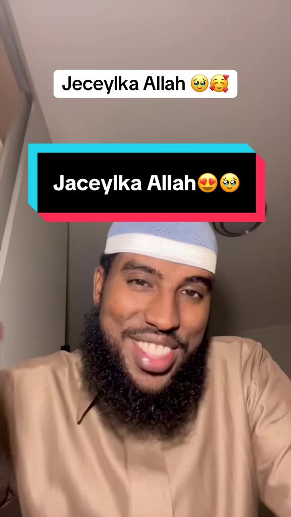 @Qalbitajir
