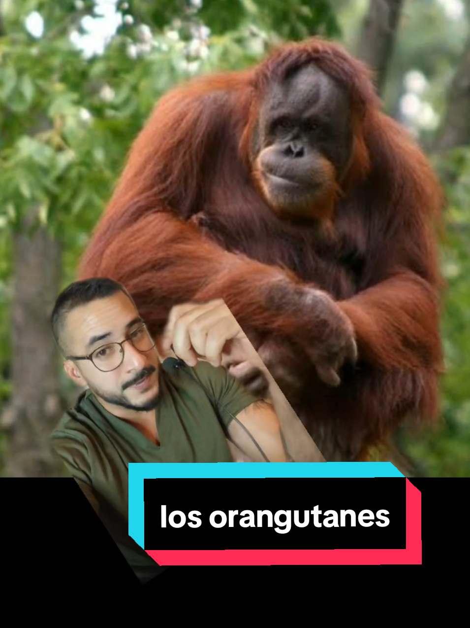 @nolosejose