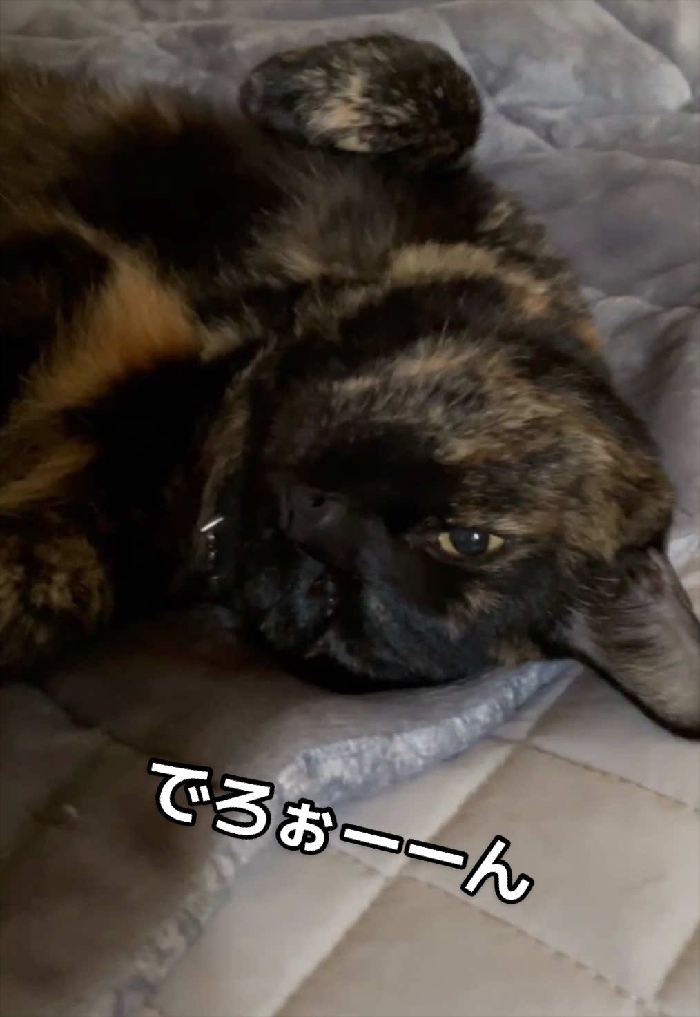@聴々物語PROJECT