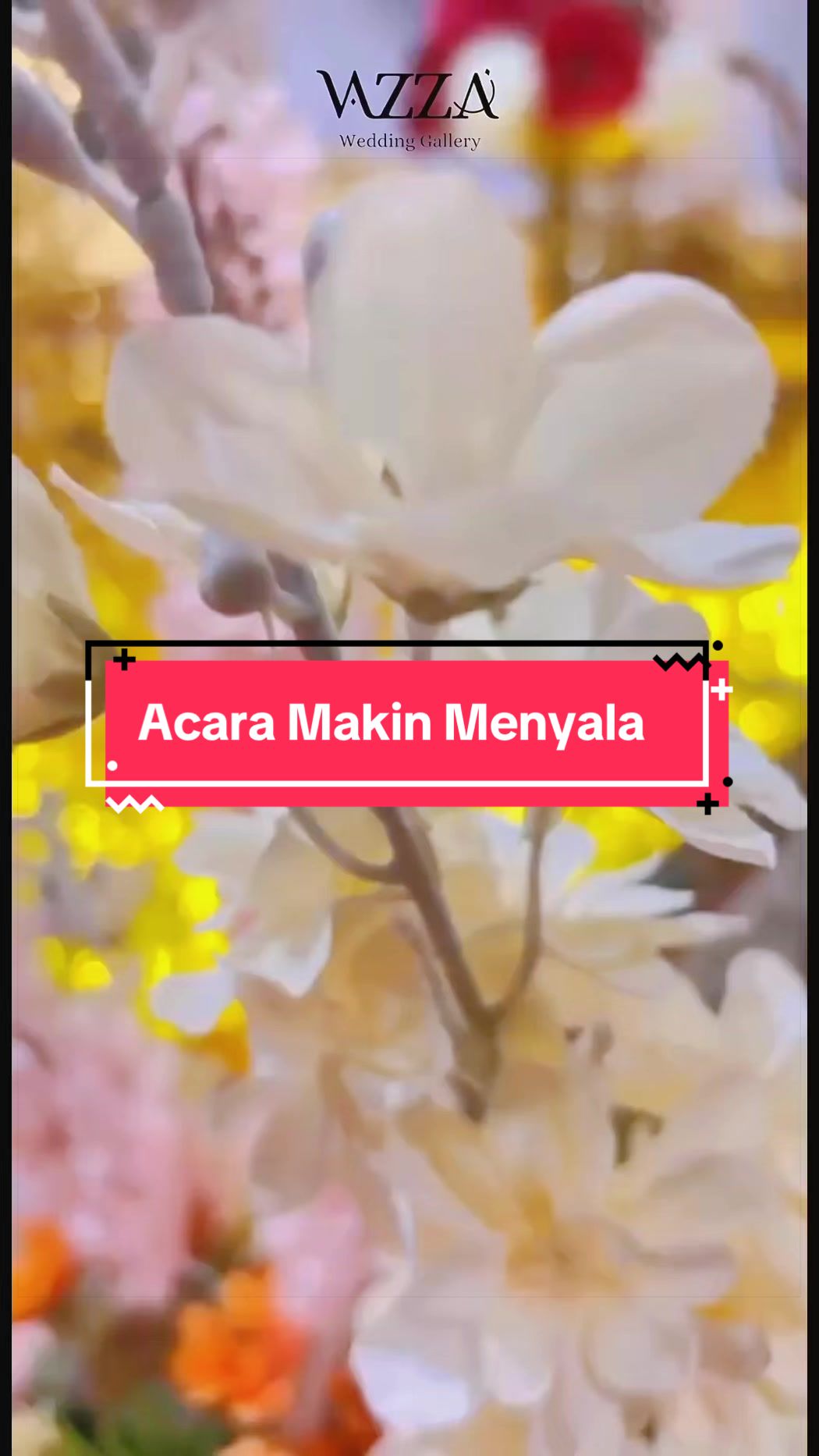 @VAZZA - SEWA ALAT NIKAH MKS