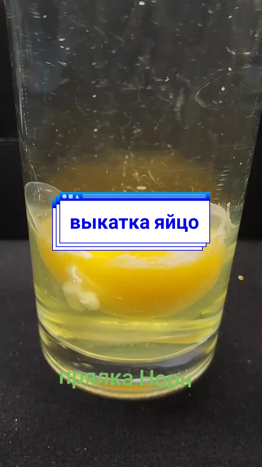 @Прялка Норн