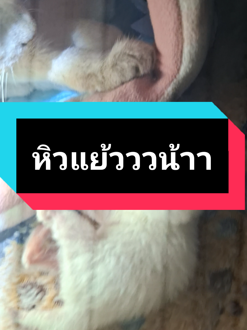 @ฮโหล....สมอง