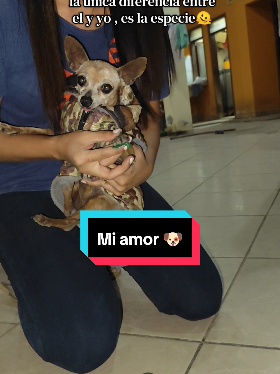 @Arison_dayana🦋