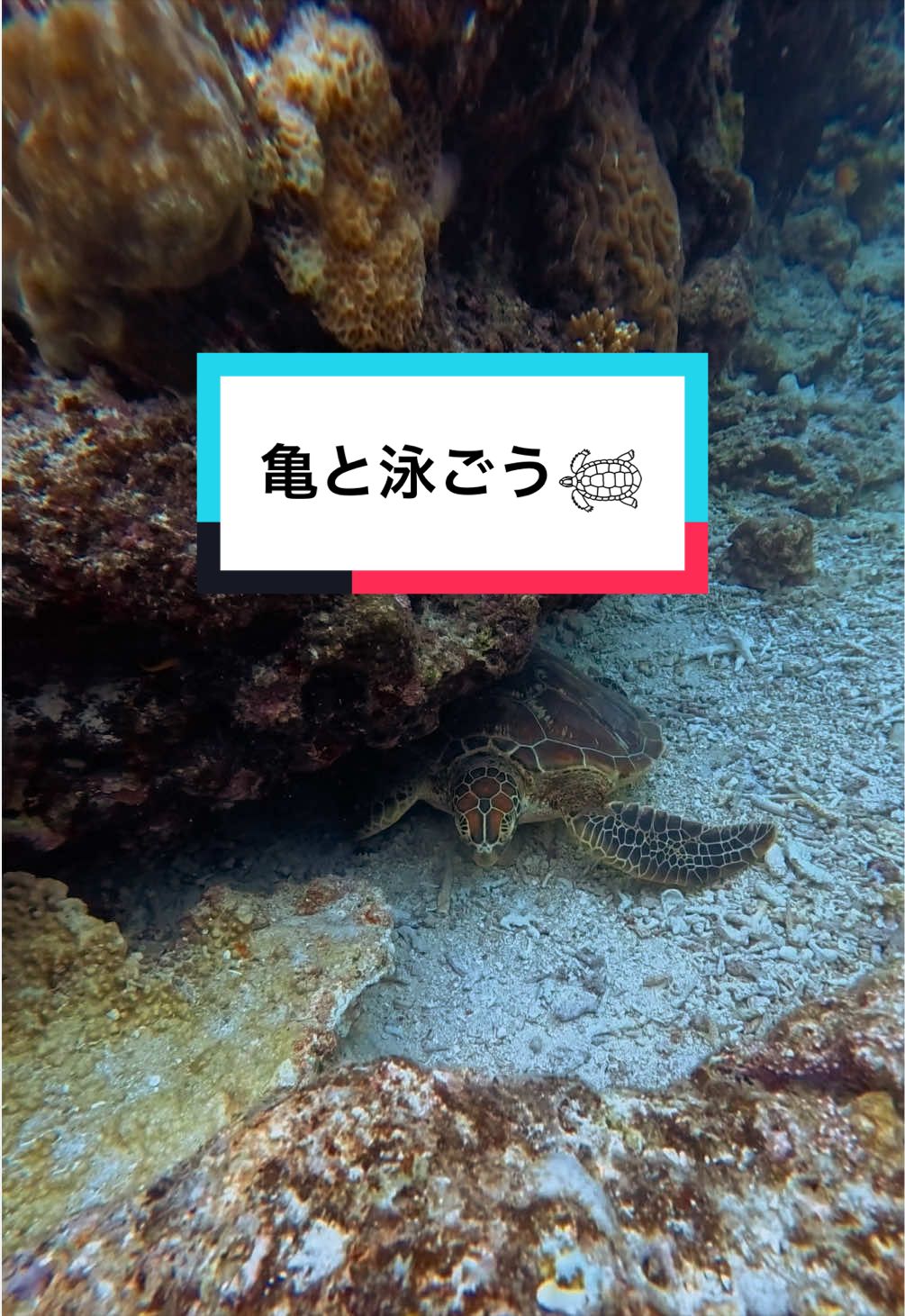 @あすきらちゃん🌺石垣島で空飛ぶ人
