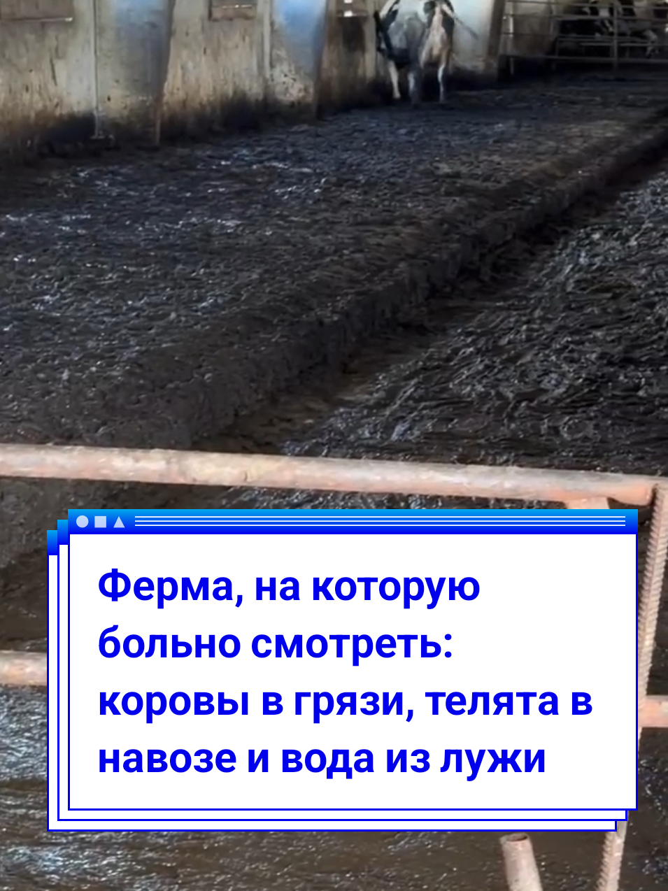 @BELARUS_360