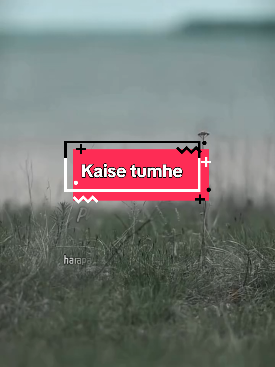 @Dil Faislaa
