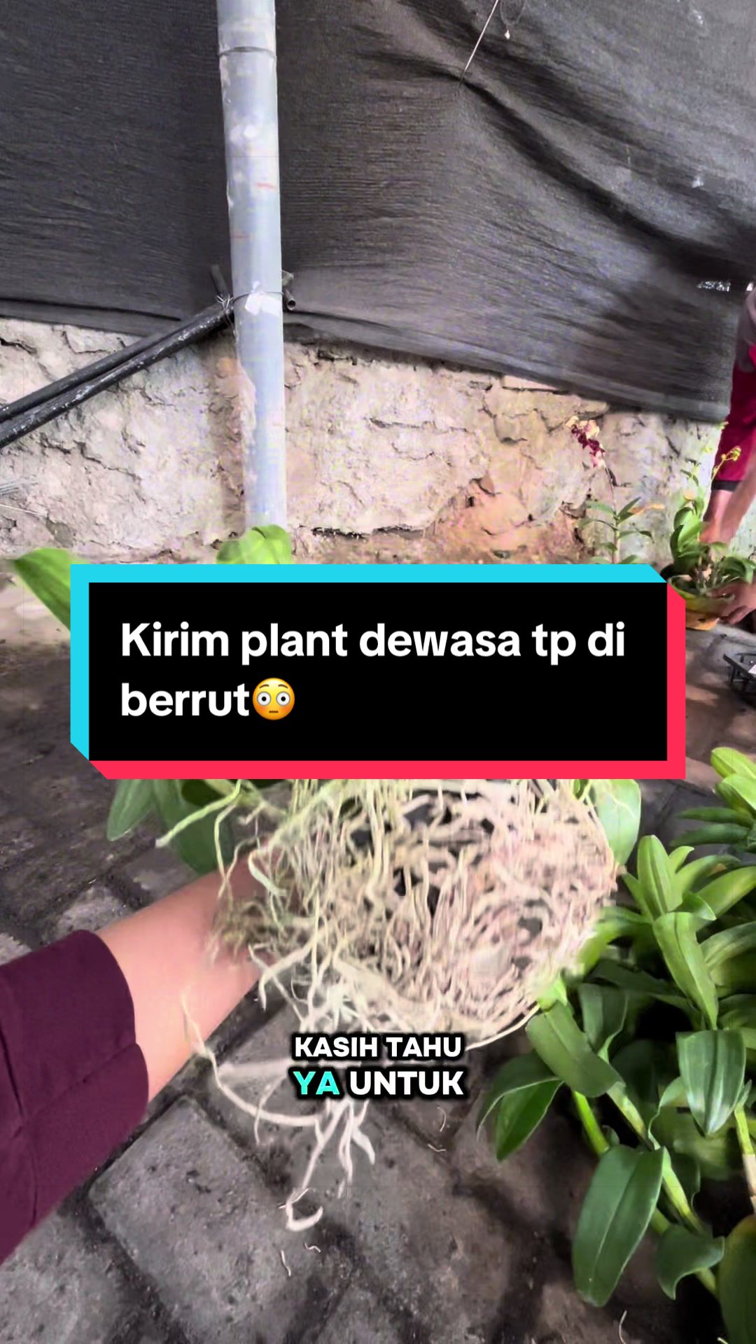 @Griya sekarindo utama