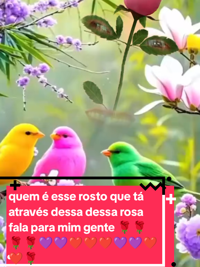 @Aurea Ribeiro