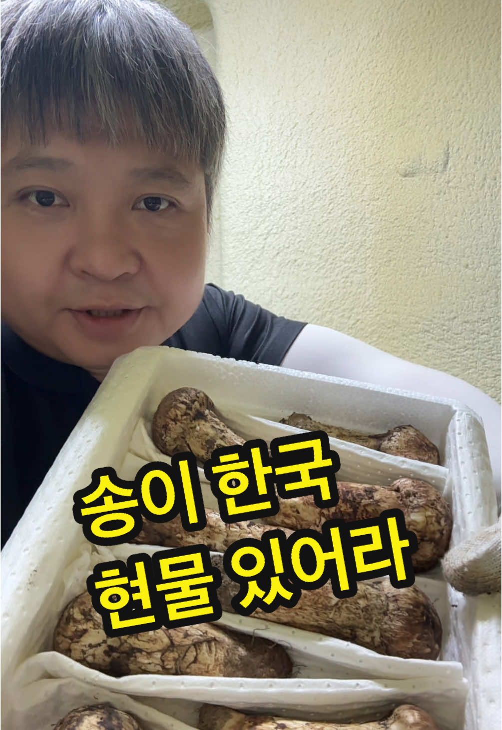 @원영-연변로찐