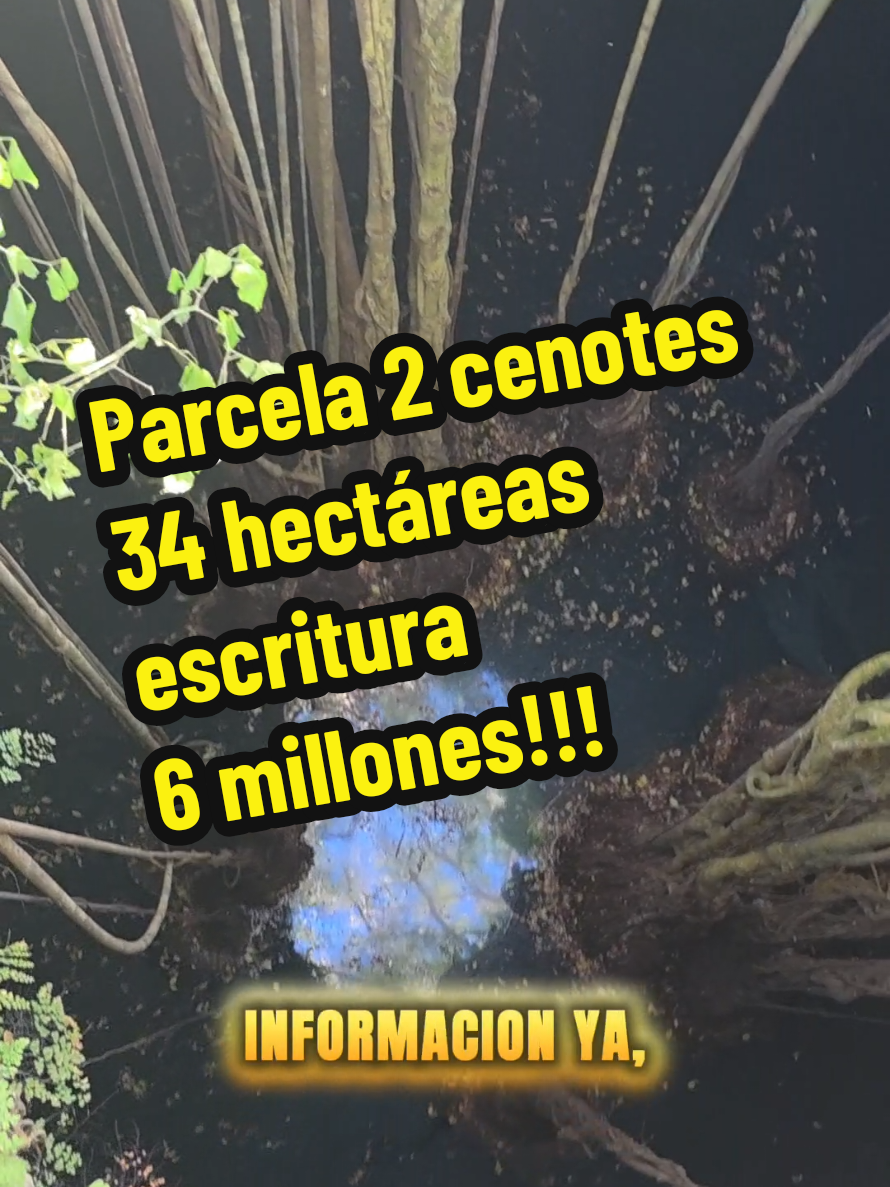 @Jose Chein - Bienes Raices