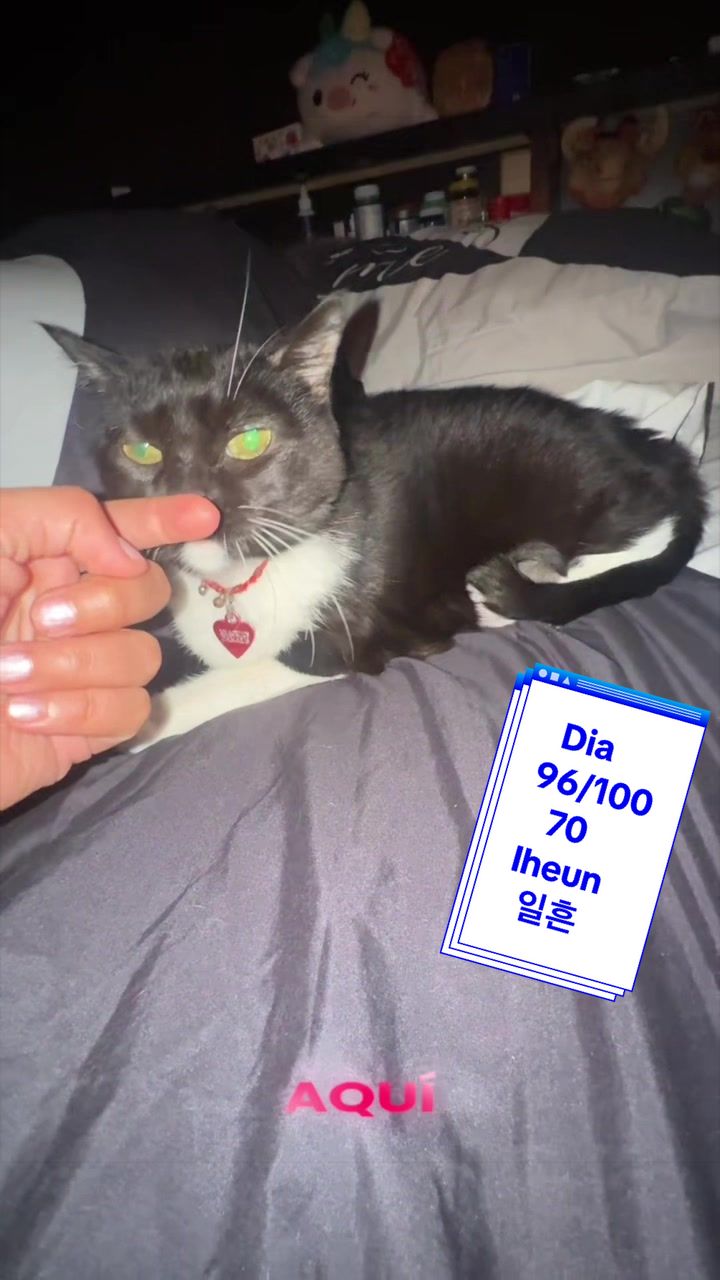 @Majo