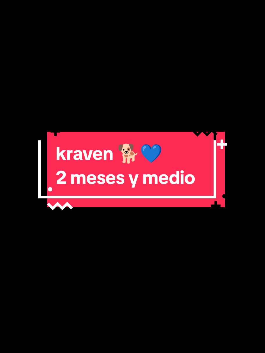 @Lizzi VzM🦋