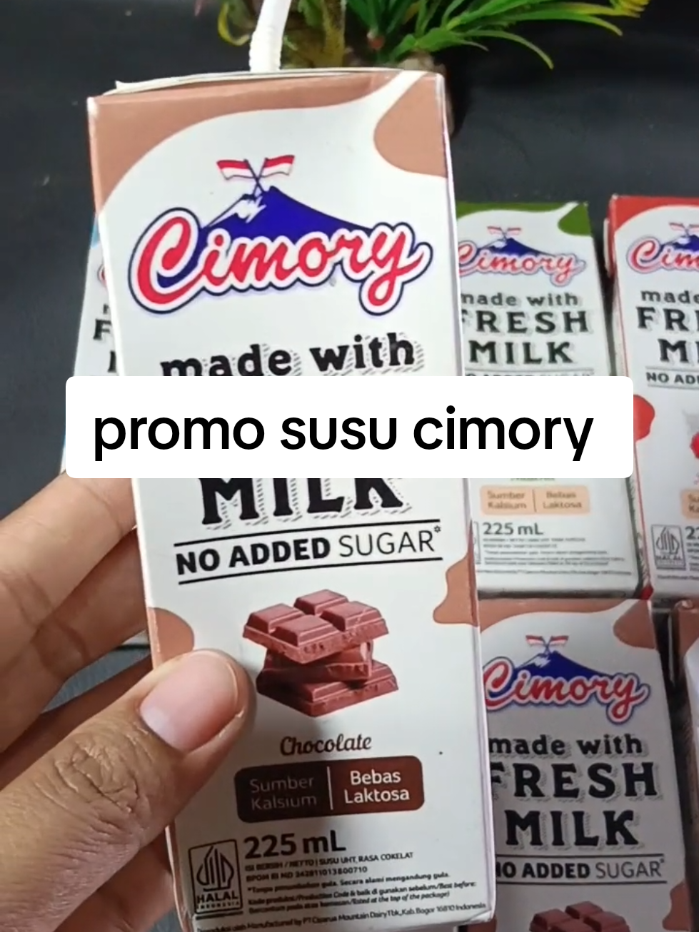 @zellaycel02