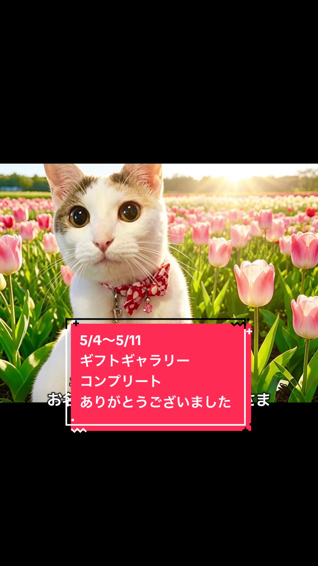 @👑ミキティ👑🙀🍜🙀🌿