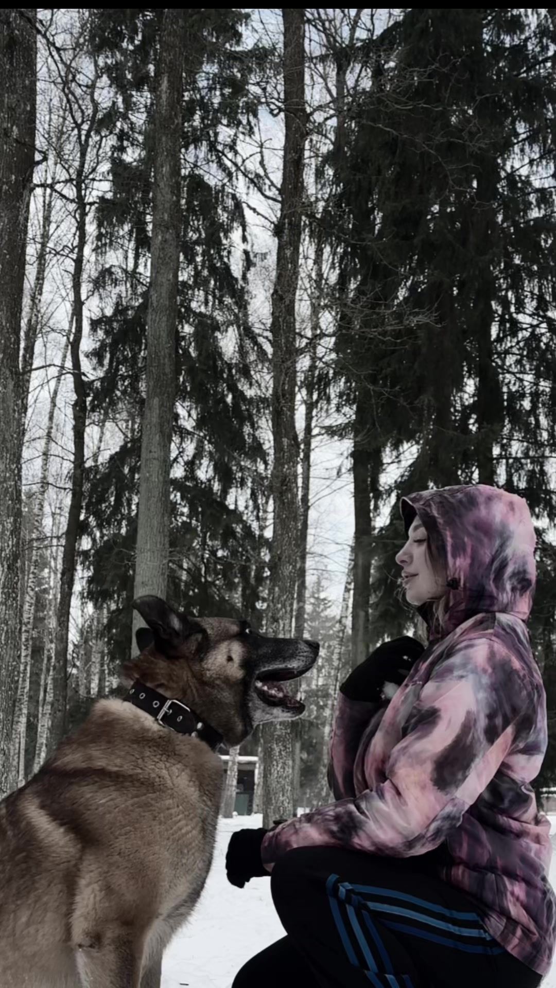 @El_diablofwr