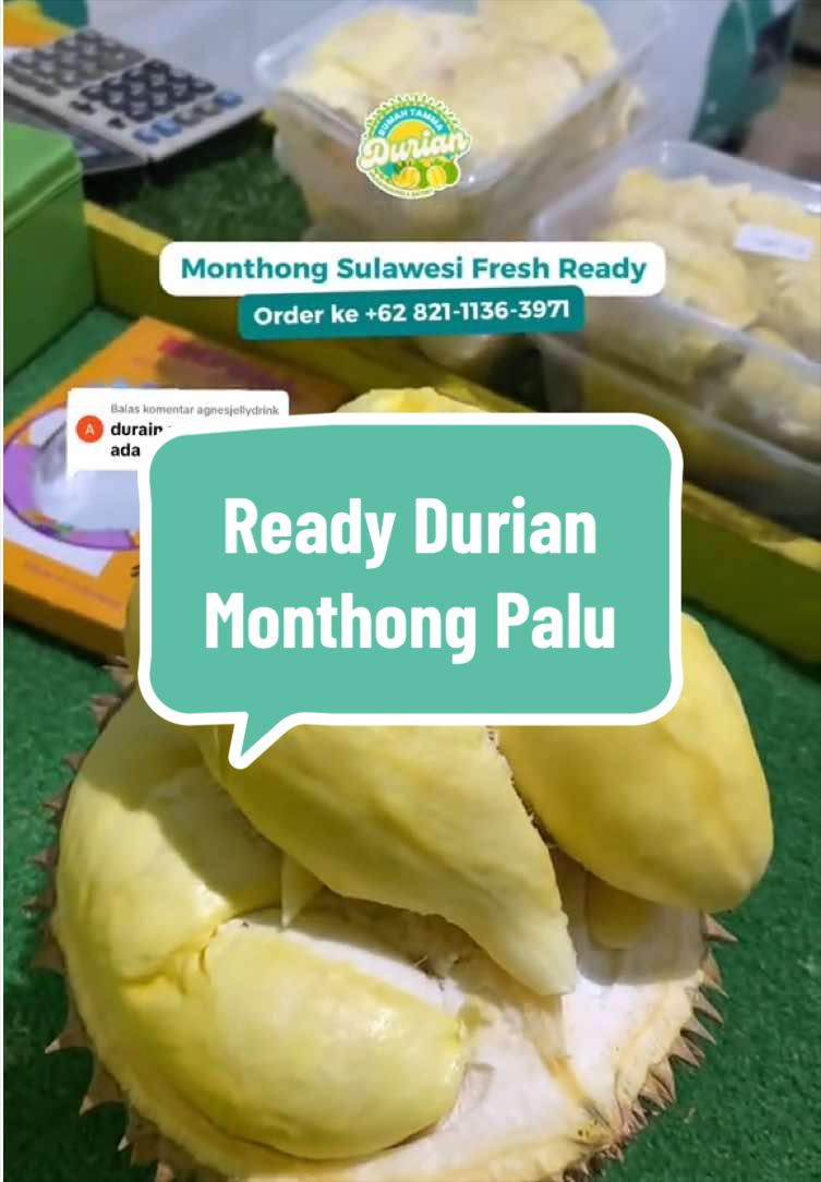 @Rumah Tamma Durian