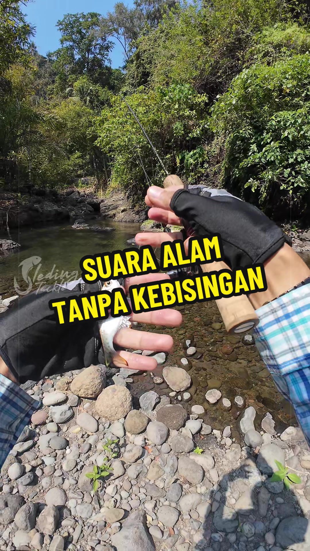 @Sleding Tackle