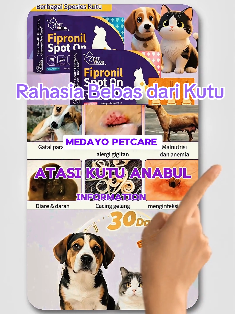 @Medayo Petcare