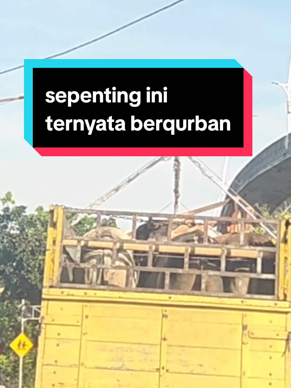 @seputar.info.penting