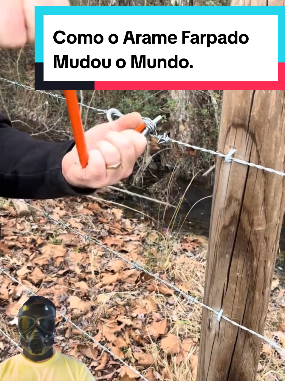 @Mundo da Curiosidades