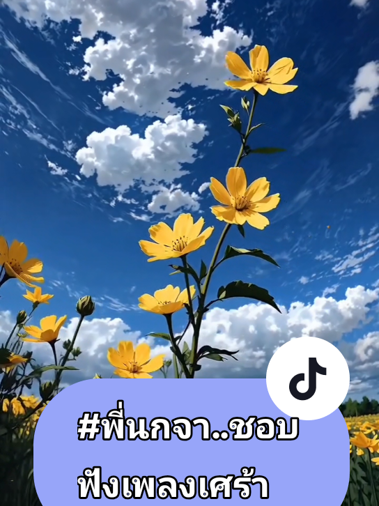 @🪻แม่นก☁️Nokja_Nuna🐦🪺