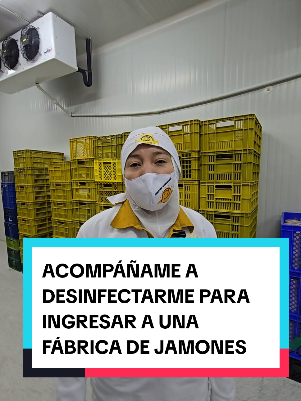 @MundoCharcutero