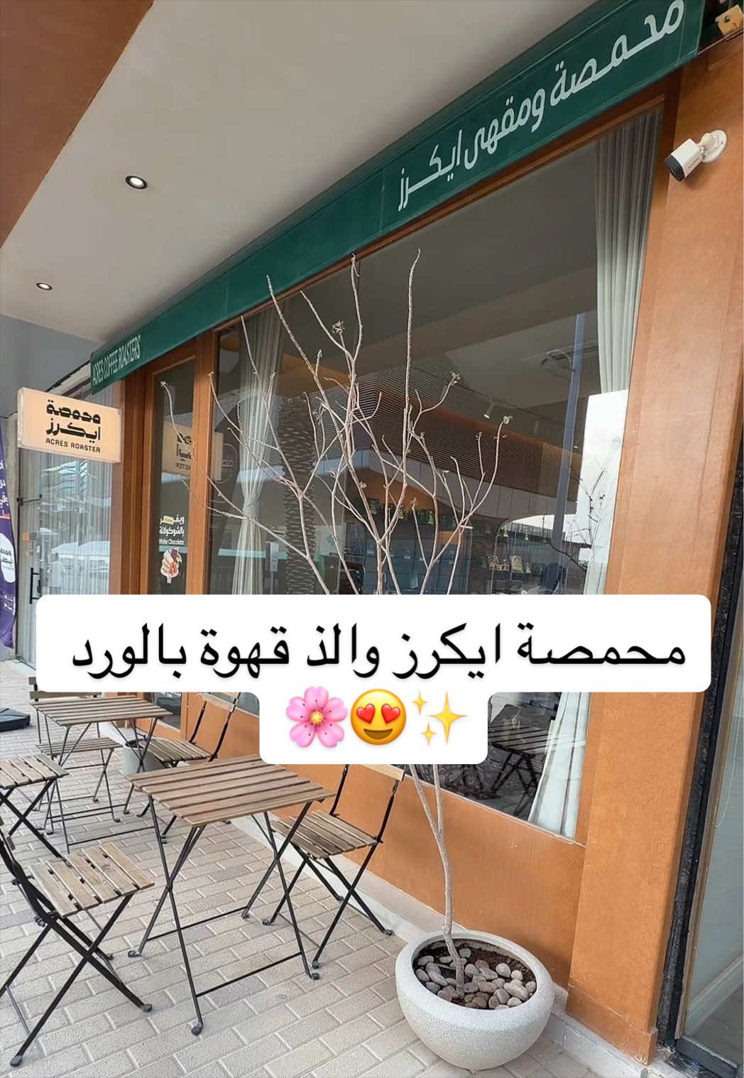 @Alanoud