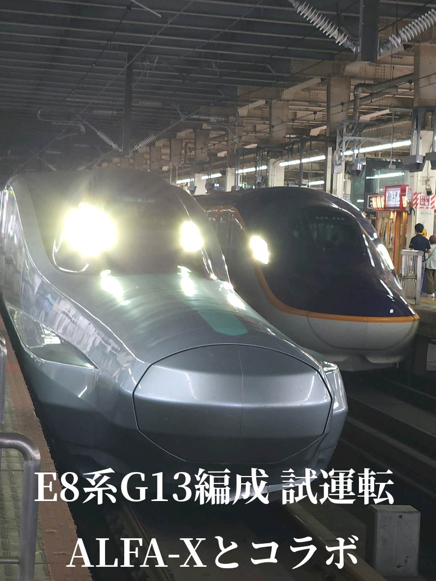 @🚅佐野武琉🚄✨
