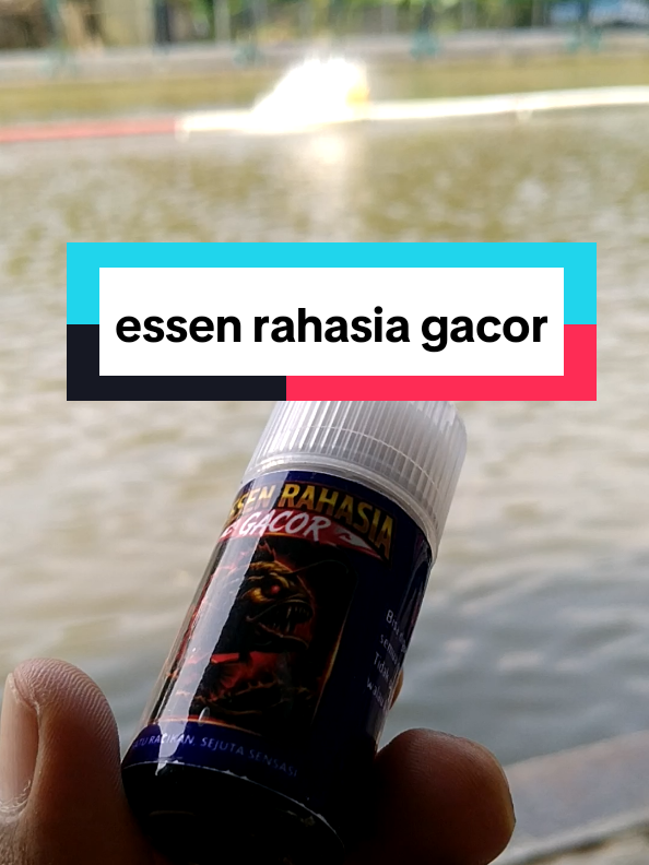 @Berkah FS