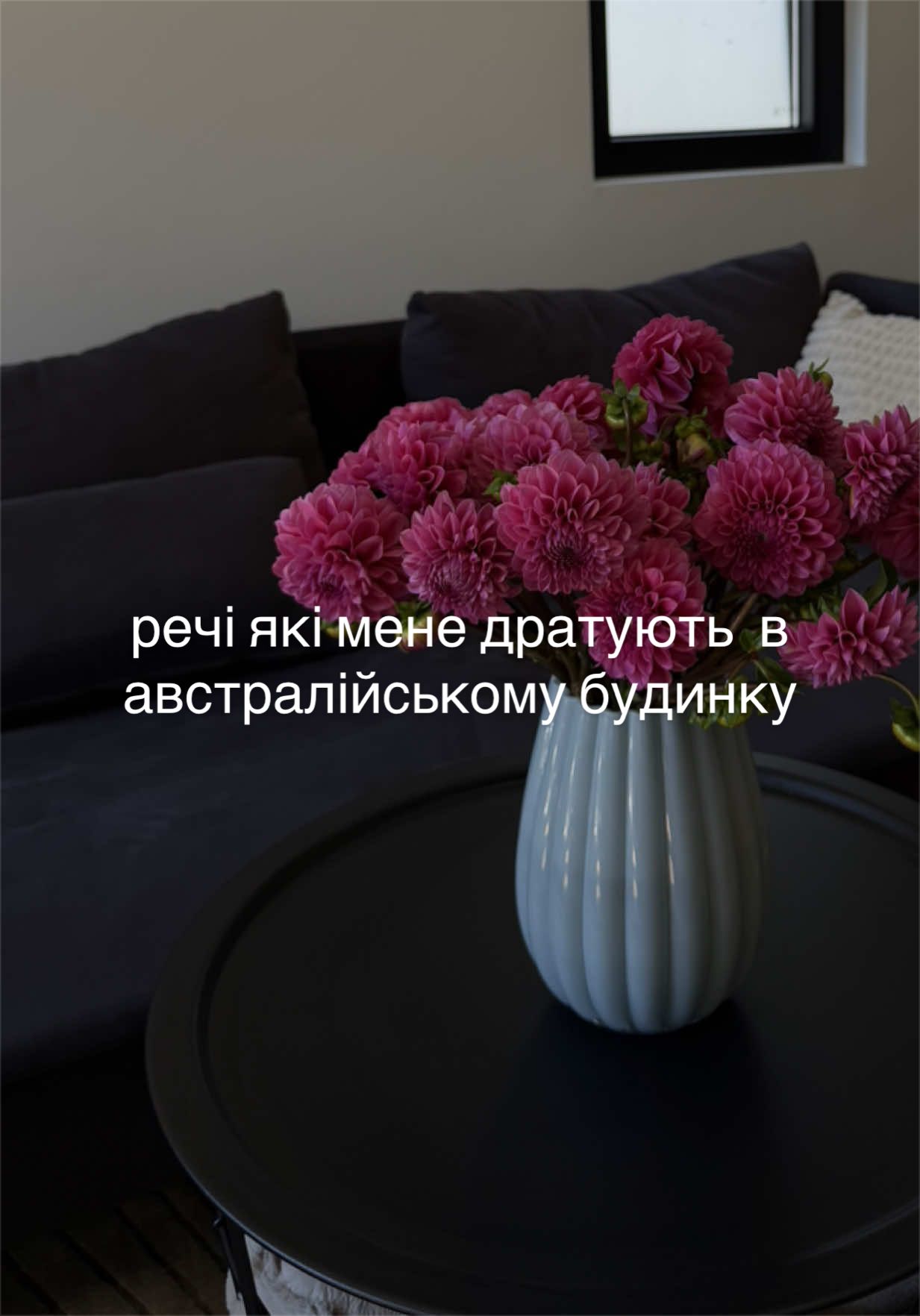 @Віолетта