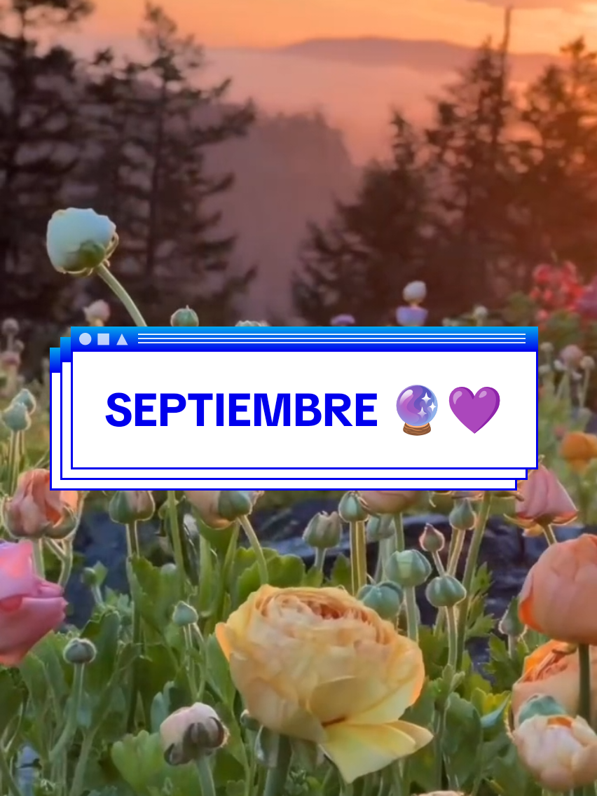 @𝓛𝓾𝓬𝓲 𝓟𝓲𝓶𝓮𝓷𝓽𝓮𝓵🌙🔮