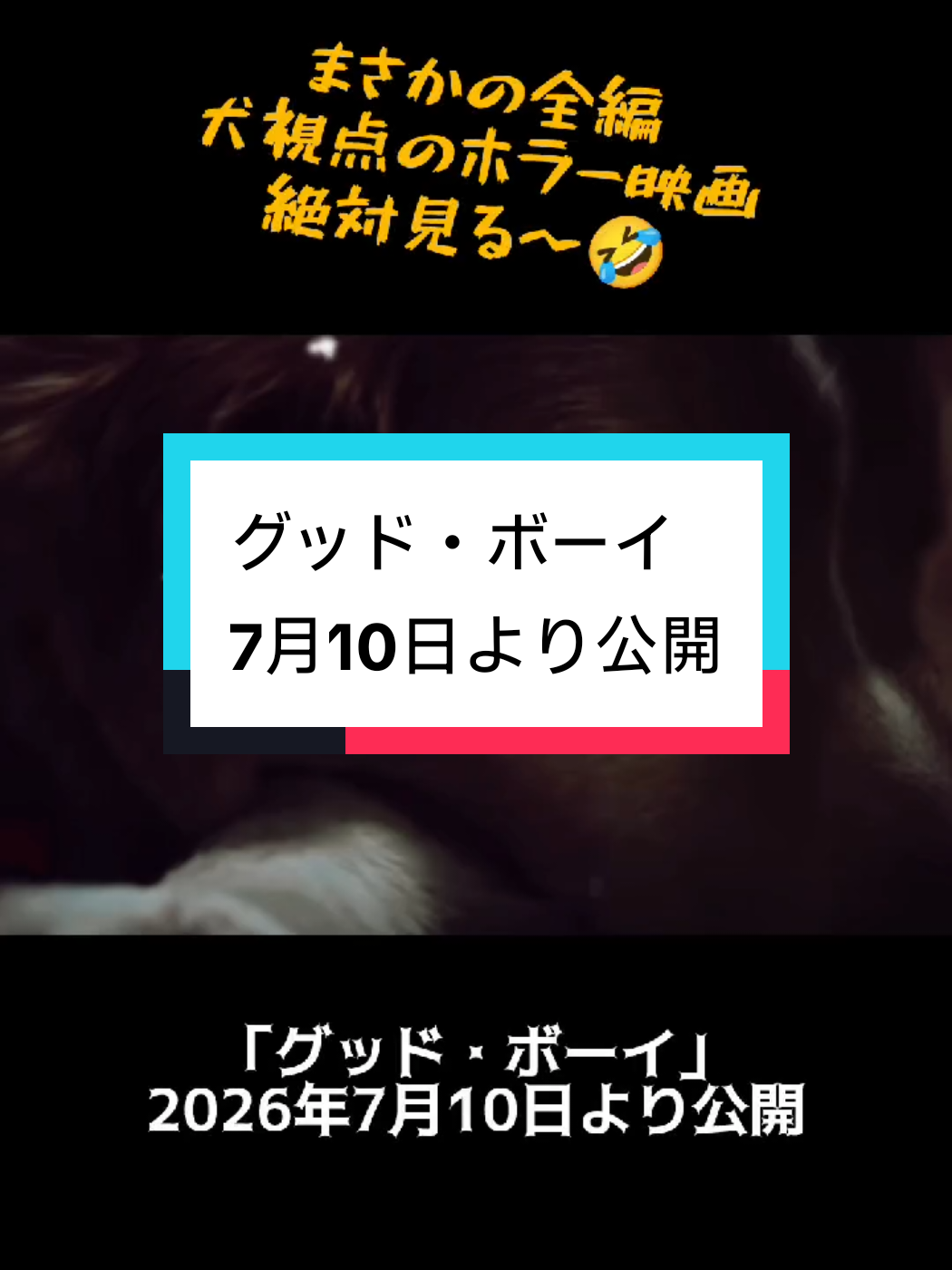 @釣り神